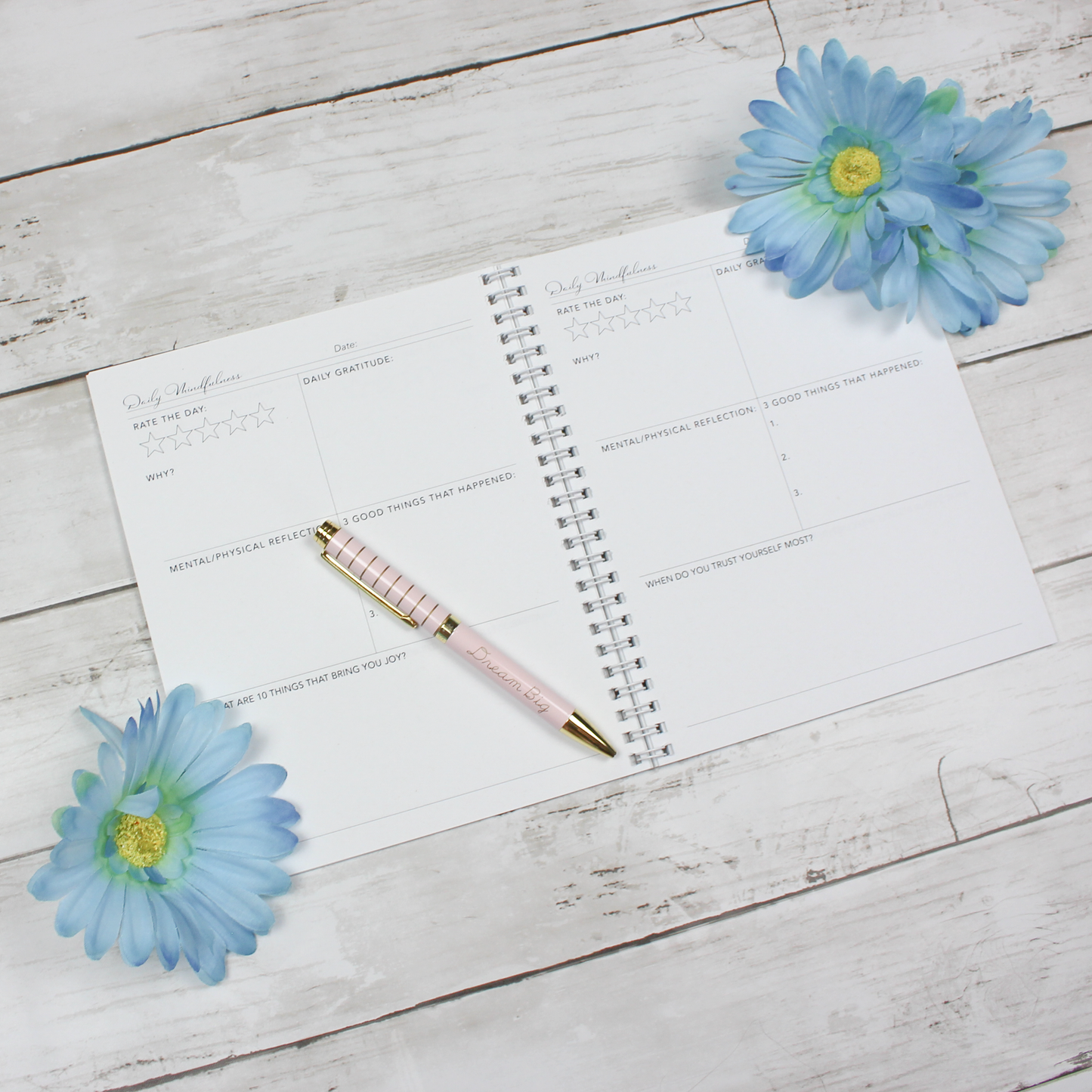 Mindful Journal: Black Dot - Scribbly 