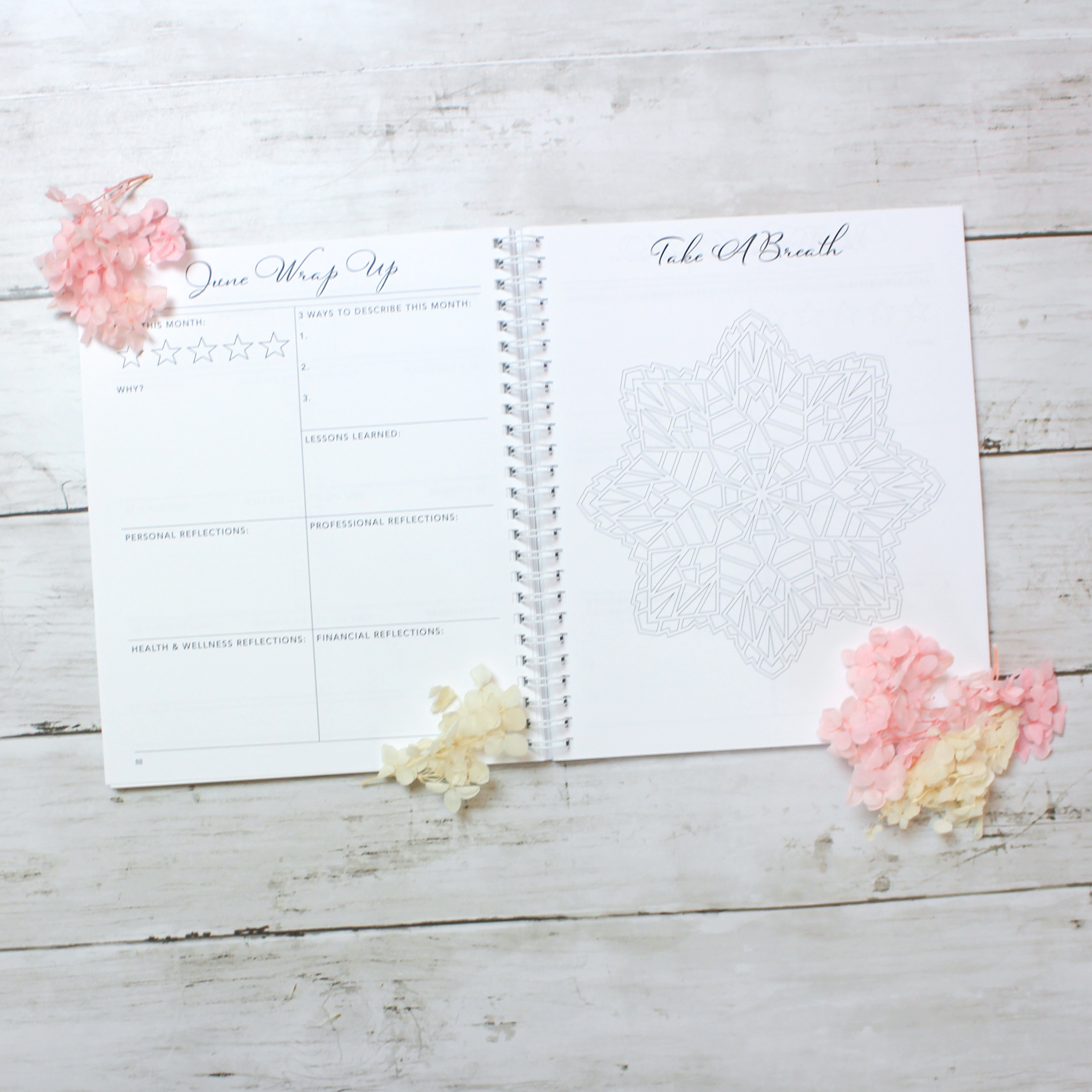 2023 Weekly Planner: Golden Dot - Scribbly 