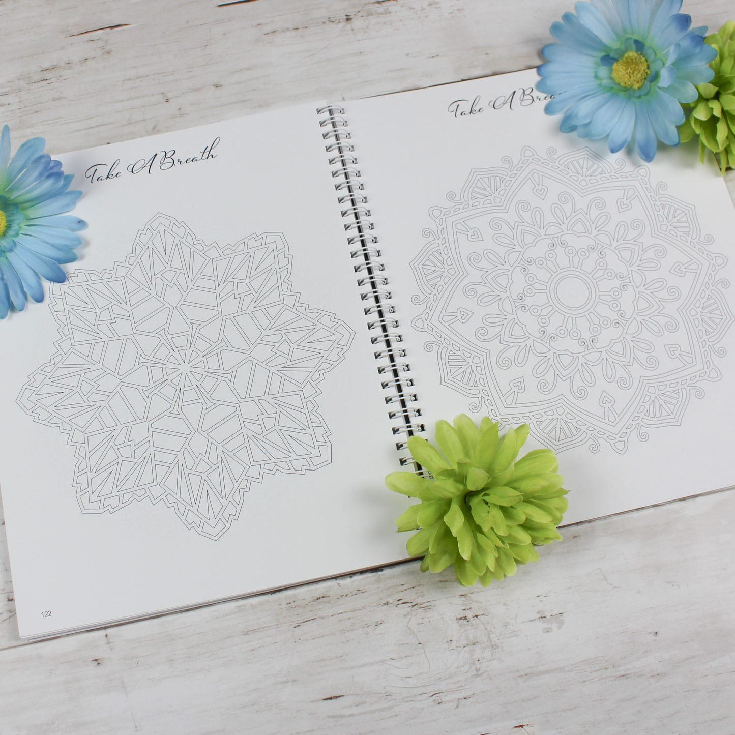 Undated Planner, Black - Scribbly 